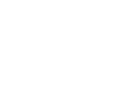 Bechtel logo