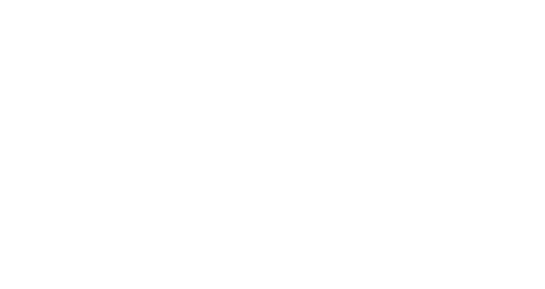 New York City Health+ hospital logo