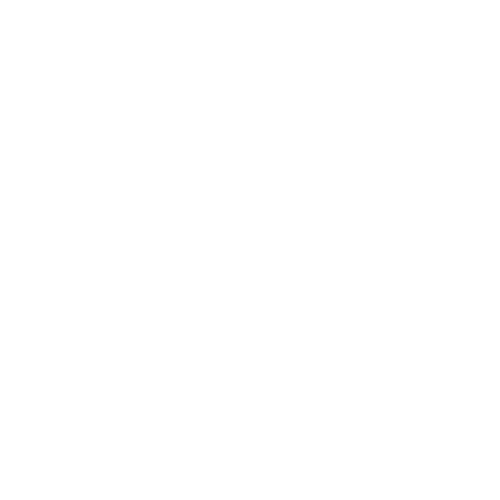 VW logo